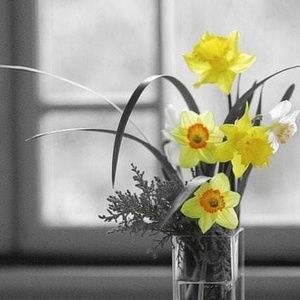 Meet your Posher, Terry